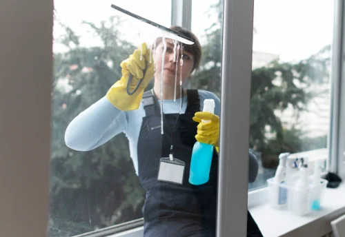 Nettoyage de vitres intérieures et extérieures à Bessey